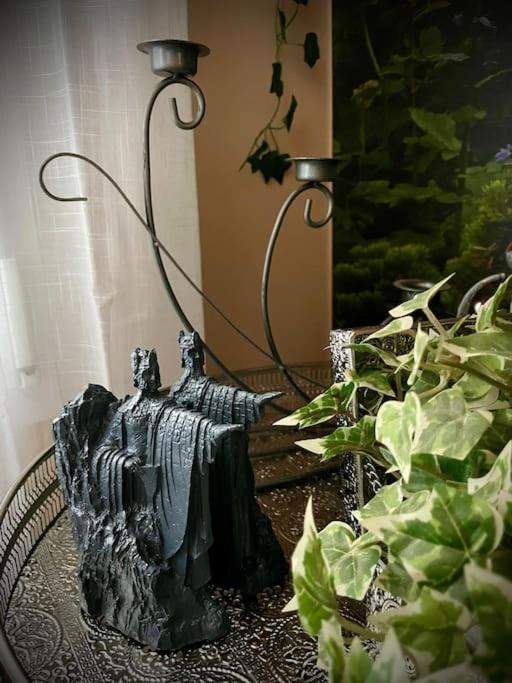 Insolite - Le De L'anneau - Immersion Garantie - Centre - Gere Par Presta-zen'services *